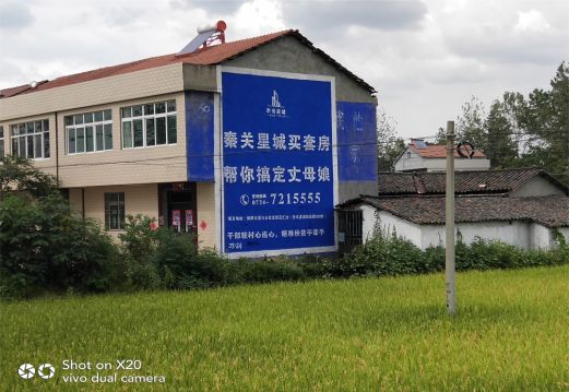 渭南决定墙体广告价格的因素有哪些?